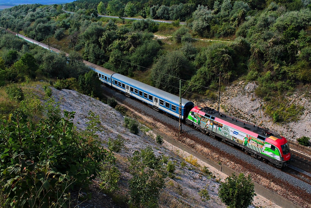 470 005 Szár (2015.08.24).01