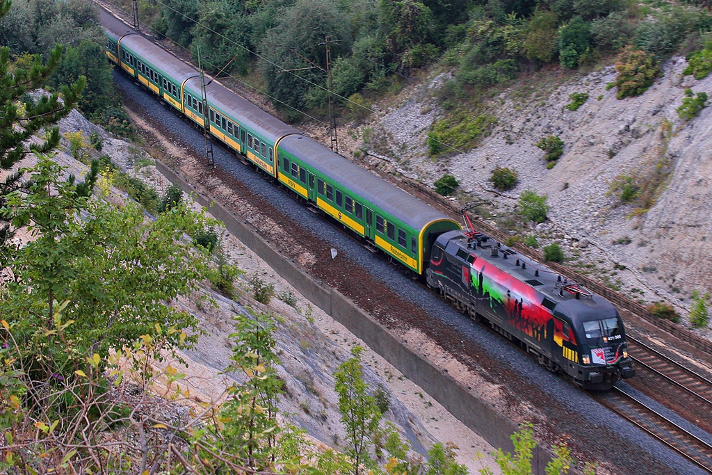 470 505 Szár (2015.08.25).01