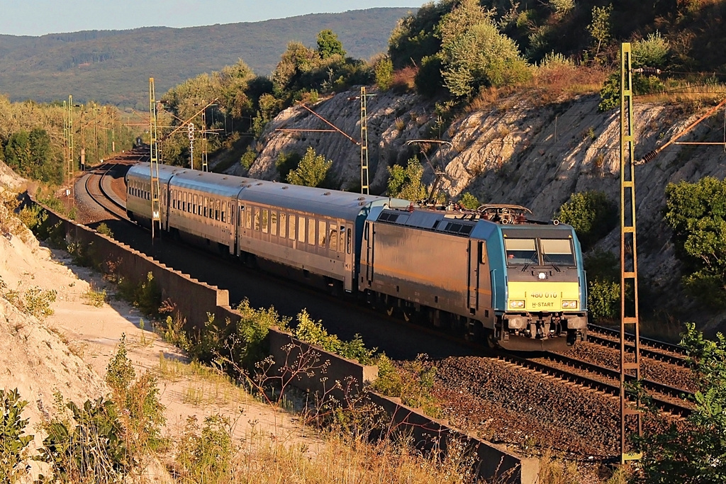 480 010 Szár (2015.08.26).