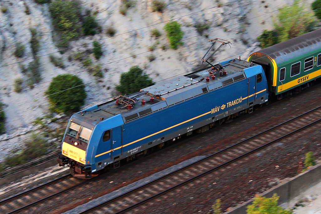 480 017 Szár (2015.08.24).