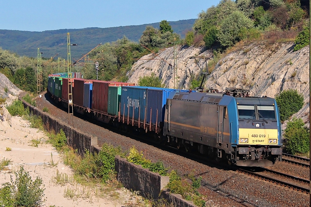 480 019 Szár (2015.08.26).