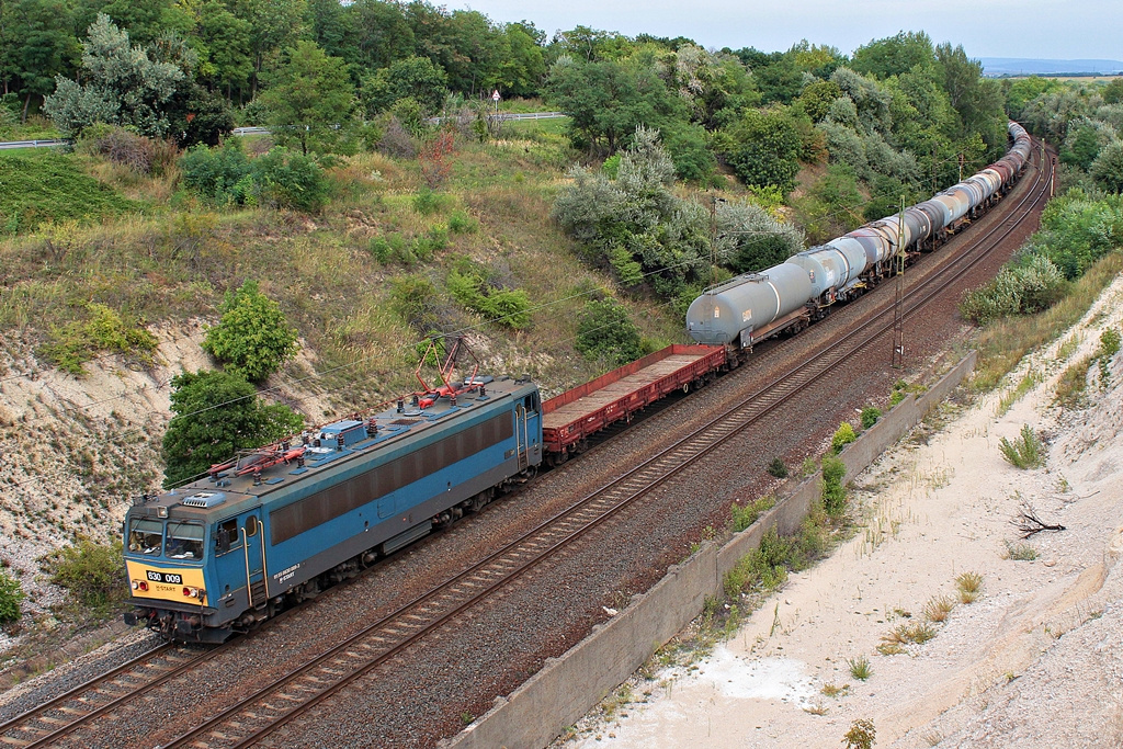 630 009 Szár (2015.08.25).