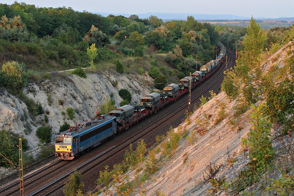 630 031 Szár (2015.08.24). (3)