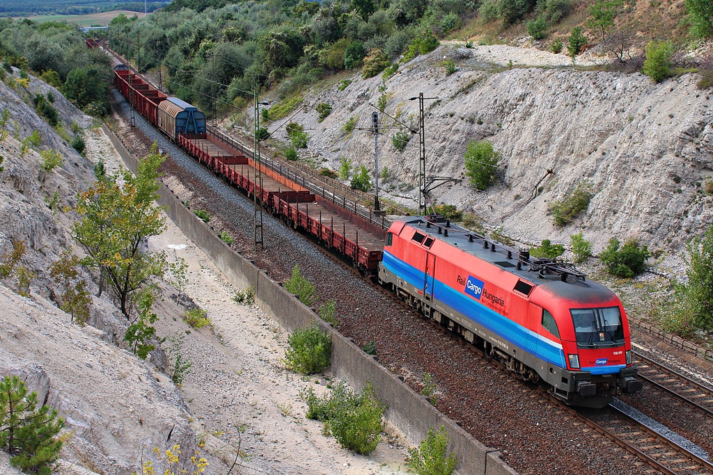 1116 010 Szár (2015.08.25).