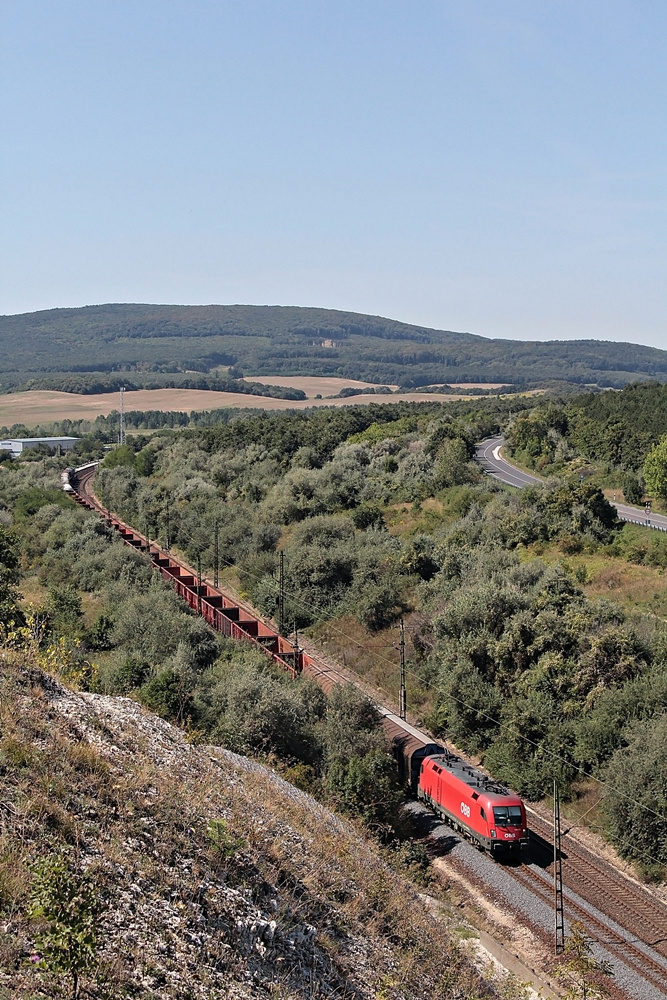 1116 013 Szár (2015.08.26). 02