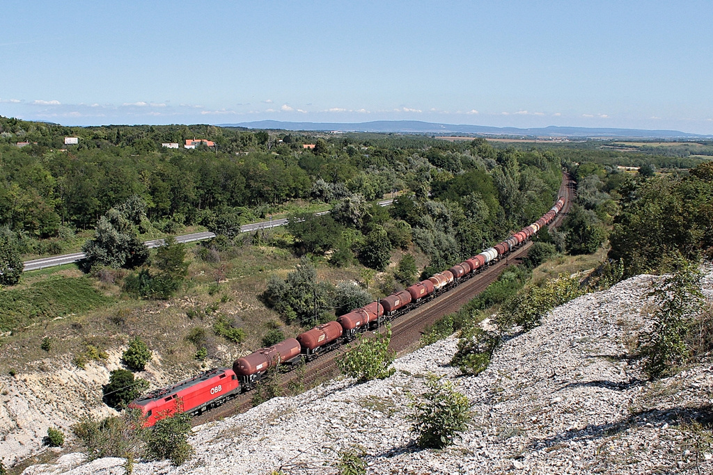 1116 020 Szár (2015.08.26).