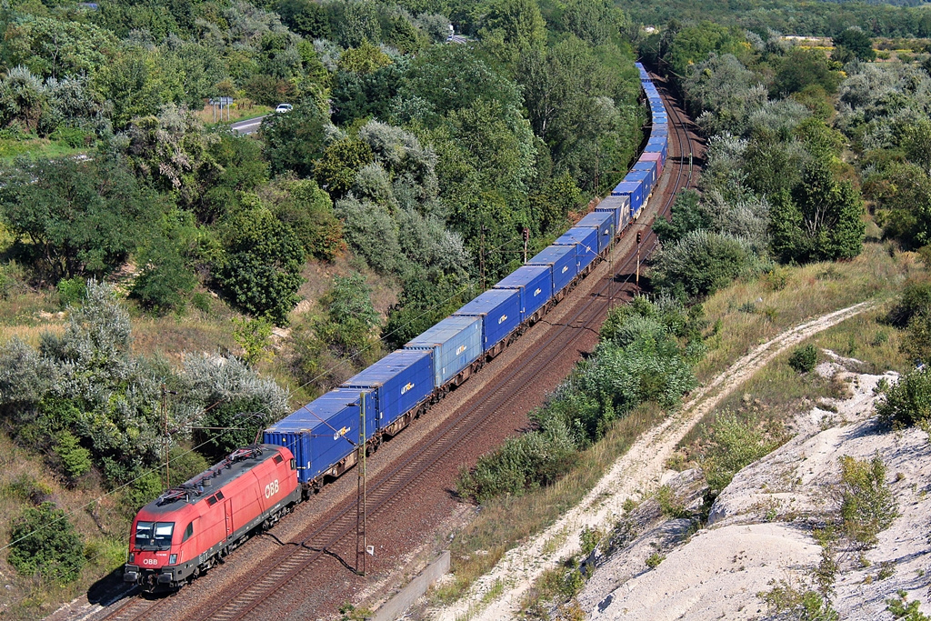 1116 069 Szár (2015.08.26).