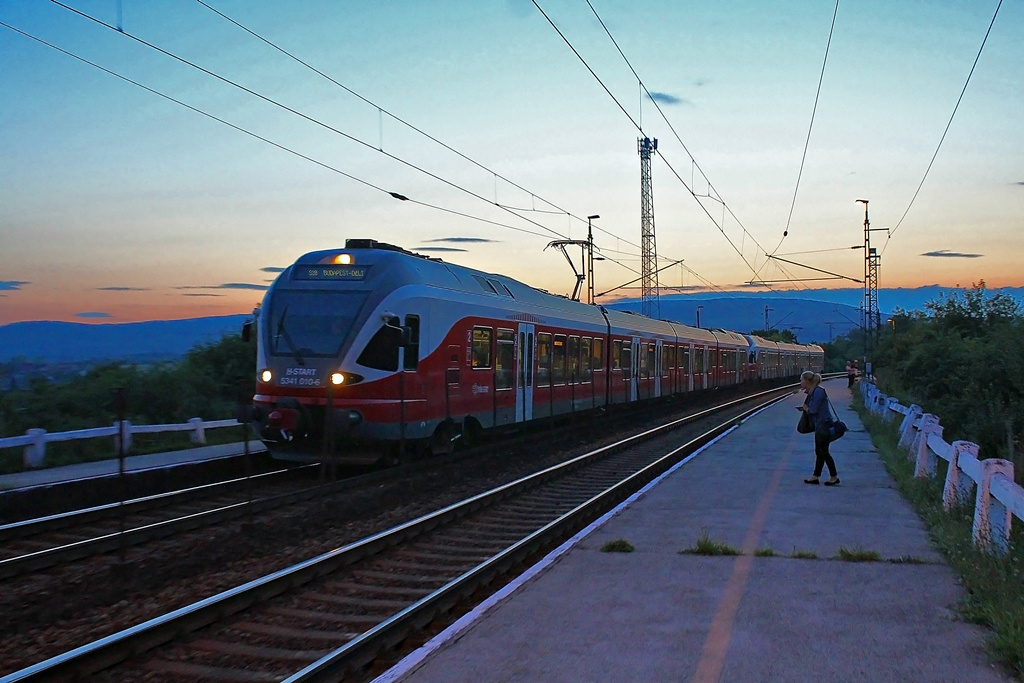 5341 010 Szár (2015.08.24).