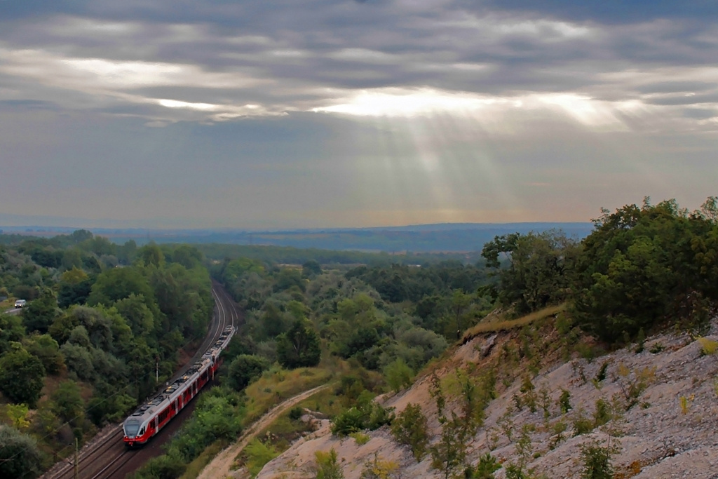 5341 013 Szár (2015.08.25).