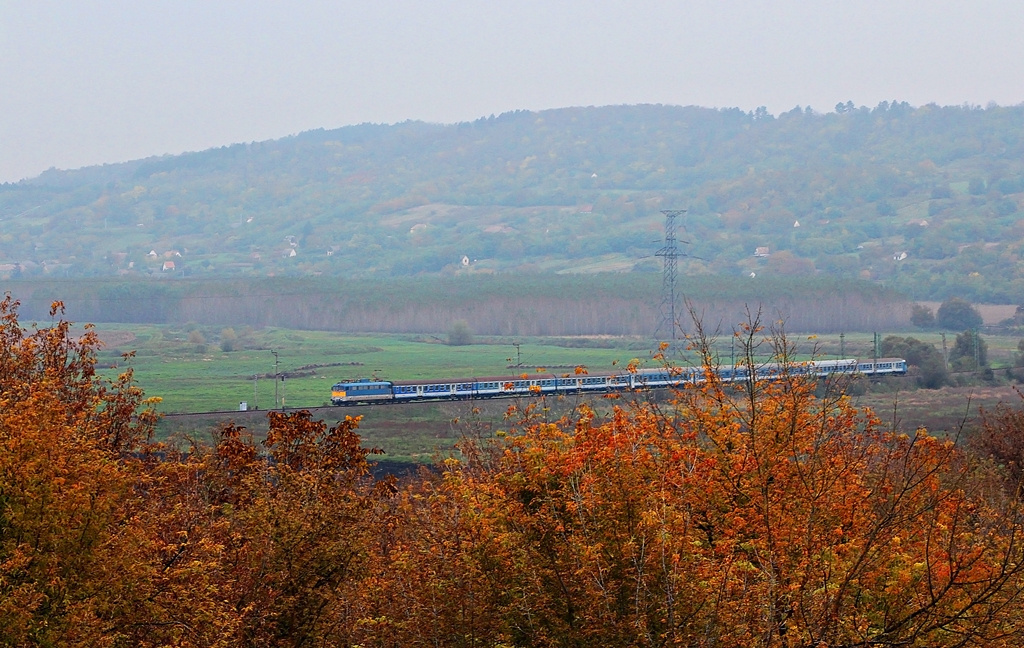 431 146 Dúzs (2015.10.23)