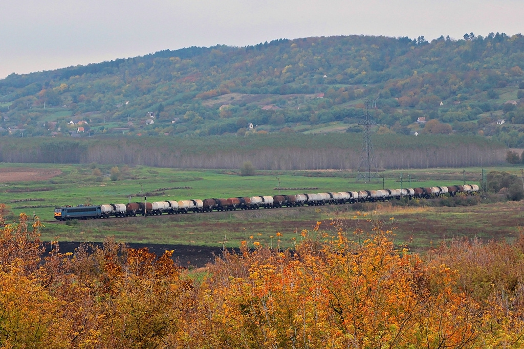 630 009 Dúzs (2015.10.23)