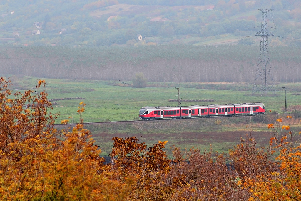 5341 036 Dúzs (2015.10.23)