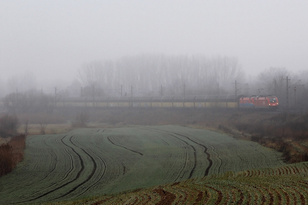 1116 013 + 1116 015 Herceghalom (2015.12.21).