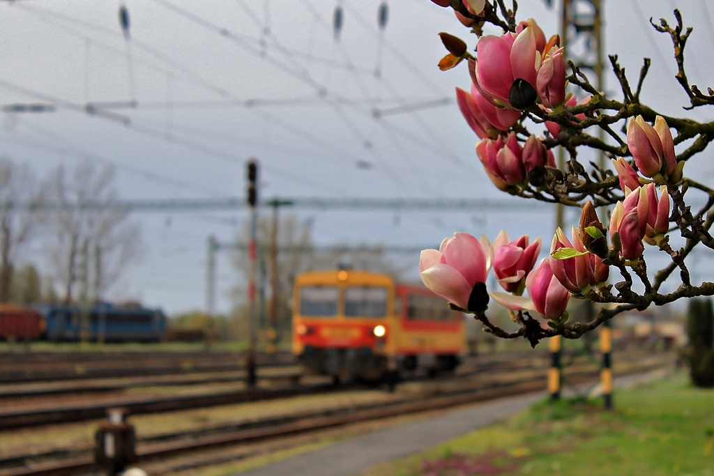 117 251 Dombóvár (2016.04.01).