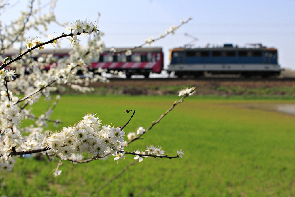 433 315 Dombóvár (2016.04.02).