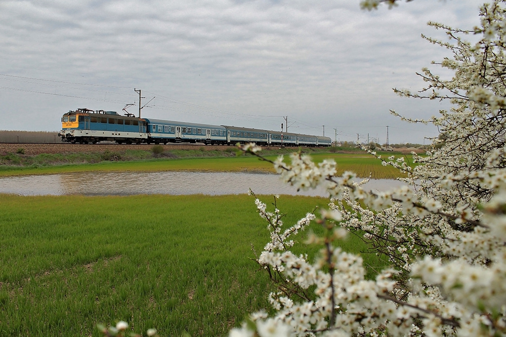 433 333 Dombóvár (2016.04.02).02