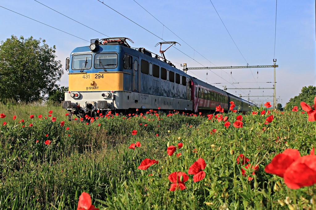 431 294 Dombóvár (2016.05.20).01