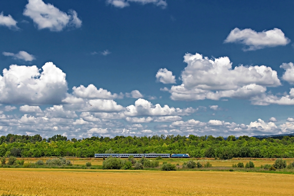 470 006 Herceghalom (2016.06.14)02