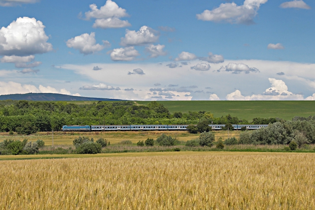 480 008 Herceghalom (2016.06.14)