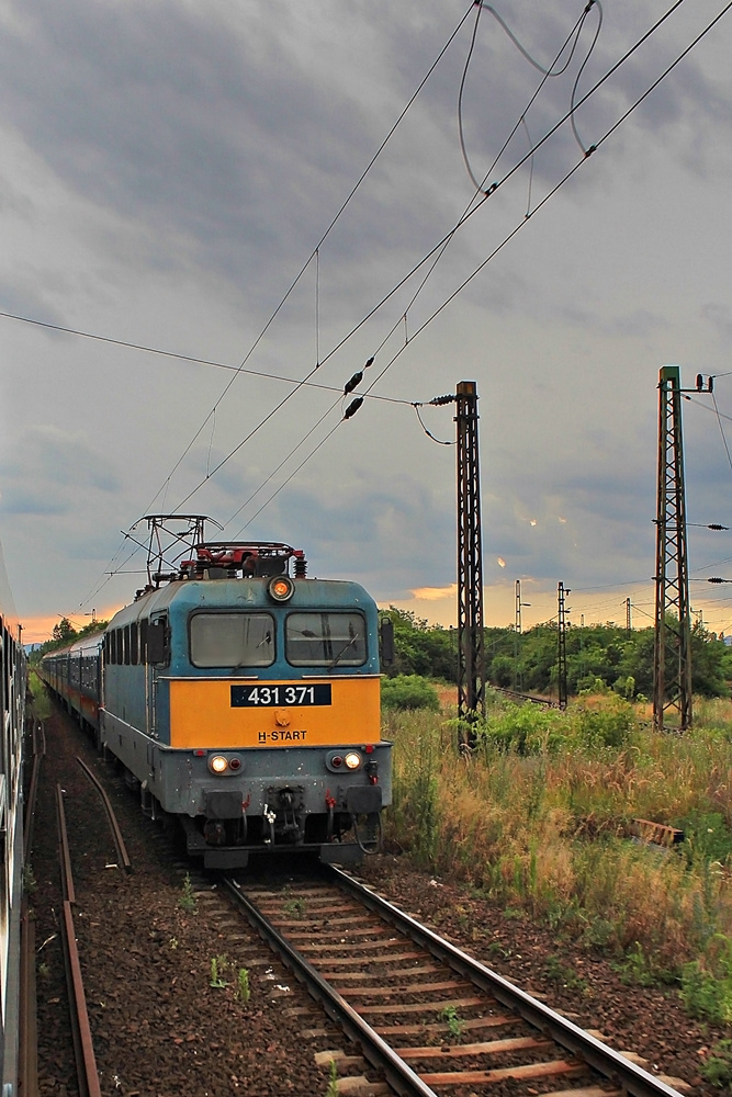 431 371 Rákos (2016.07.05)