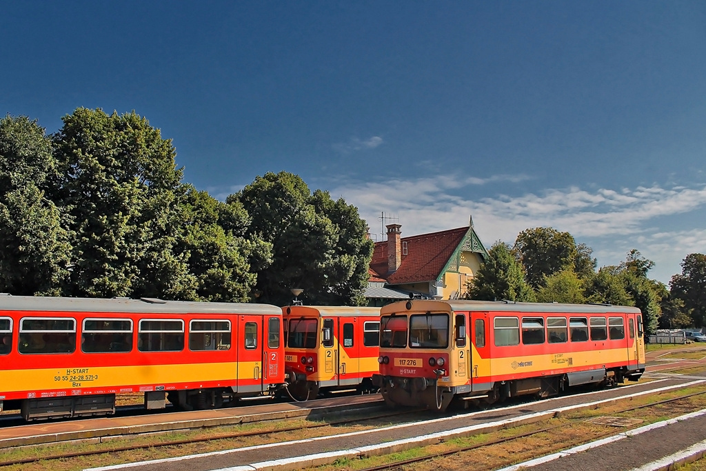 117 276 Mezőhegyes (2016.07.18).