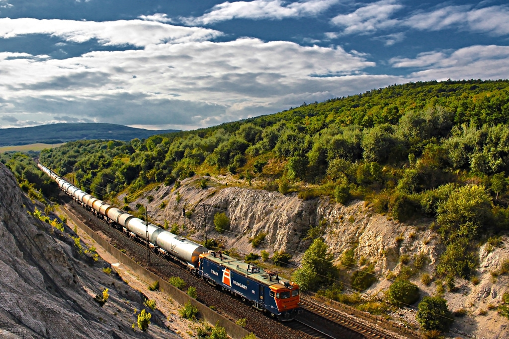 400 748 Szár (2016.08.13).