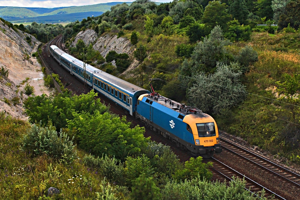 470 002 Szár (2016.08.13).