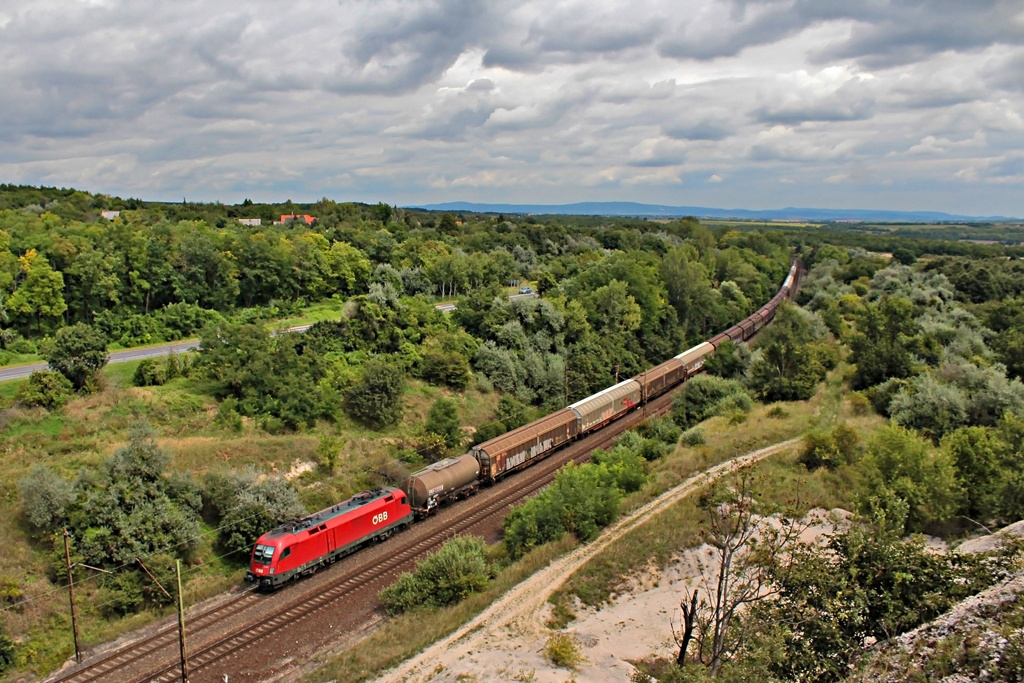 1116 062 Szár (2016.08.13).