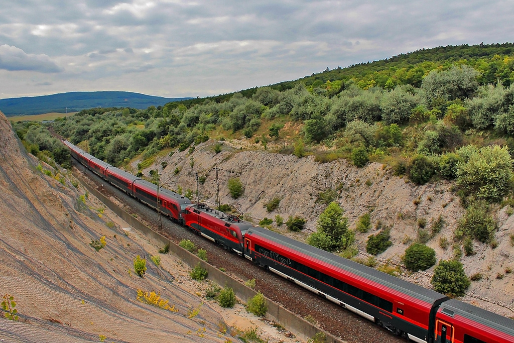 1116 204 Szár (2016.08.13).