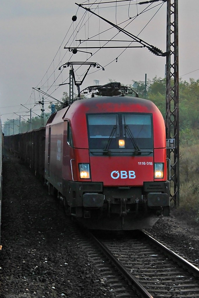 1116 018 Pusztaszabolcs (2016.10.01).