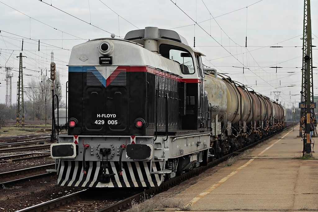 429 005 Rákos (2016.11.07).