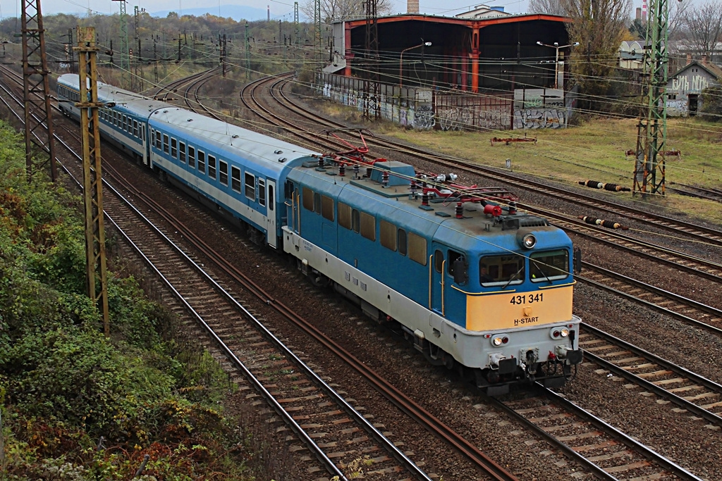 431 341 Rákos (2016.11.07).02