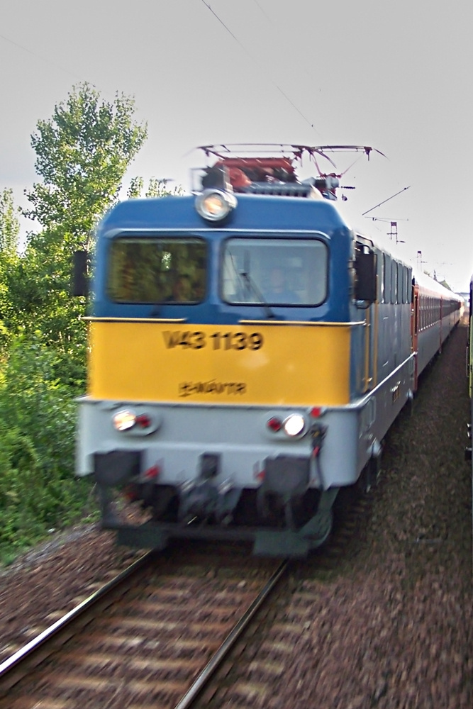 V43-1139 Ludas (2009.06.24).