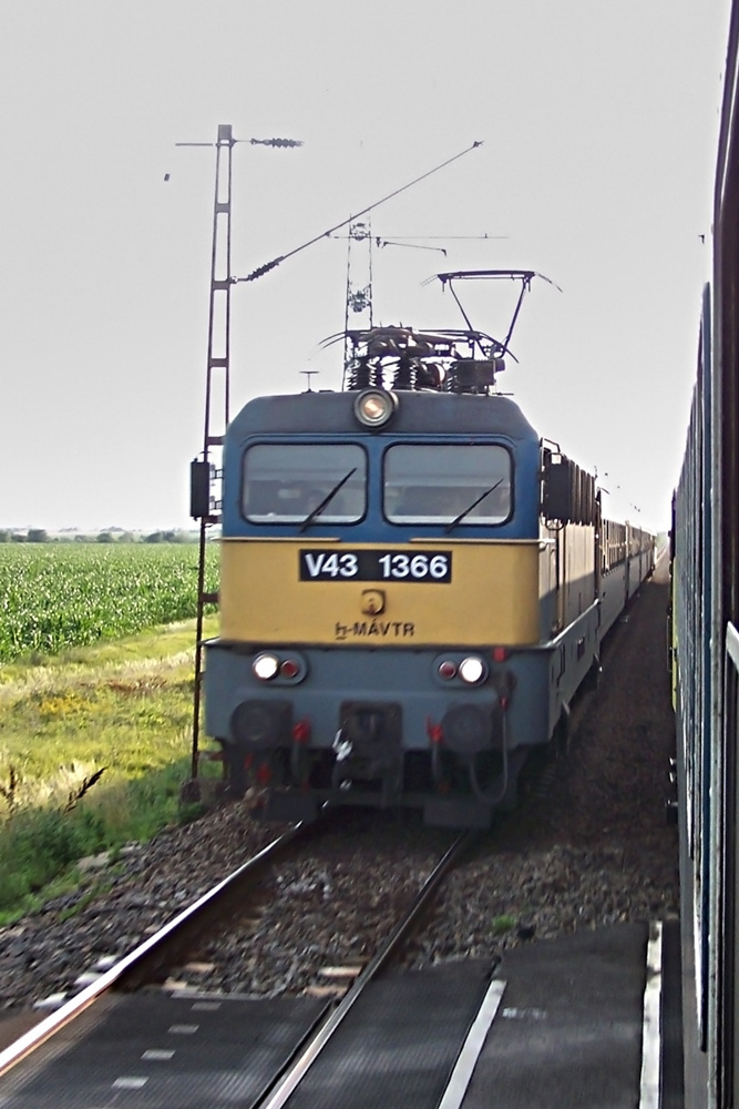 V43-1366 Nagyút (2009.06.24).