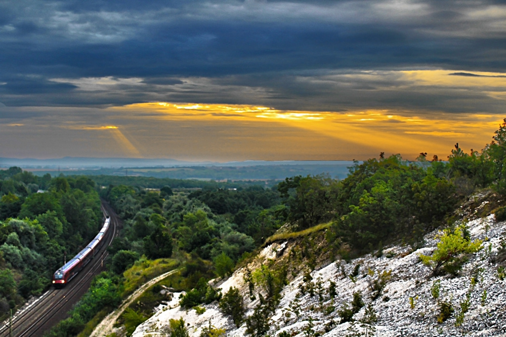 8090 713 Szár (2015.08.26)