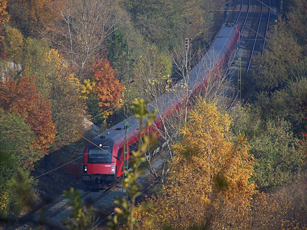 8090 730 Szár (2011.11.02)