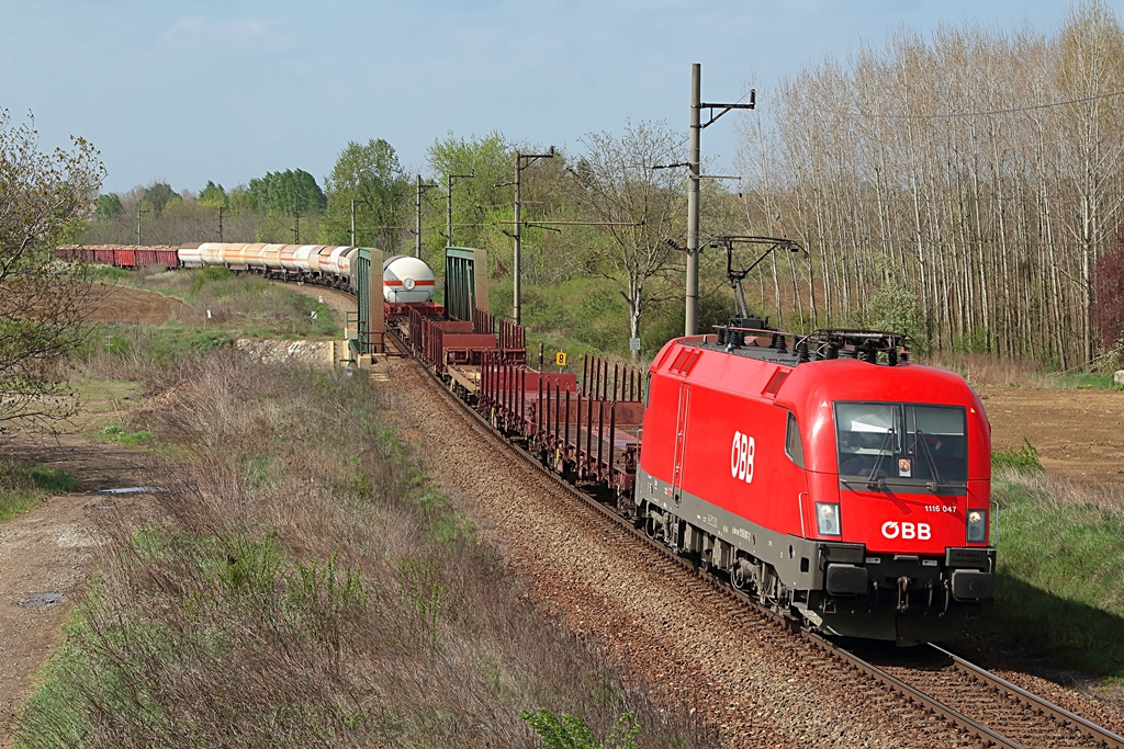 1116 047 Dombóvár (2017.04.06).02