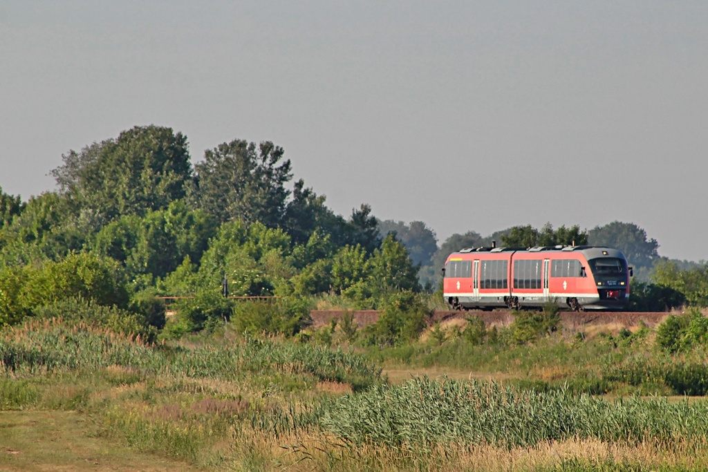 426 015 Rétszilas (2017.06.15)