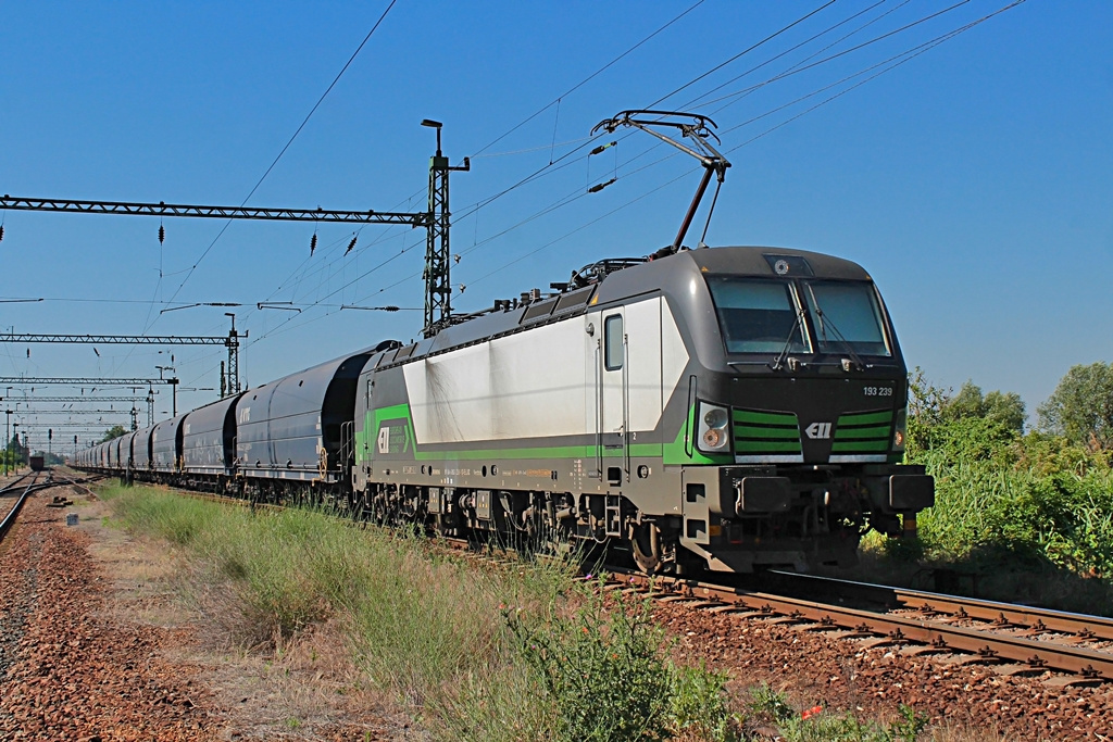 193 239 Rétszilas (2017.06.15)