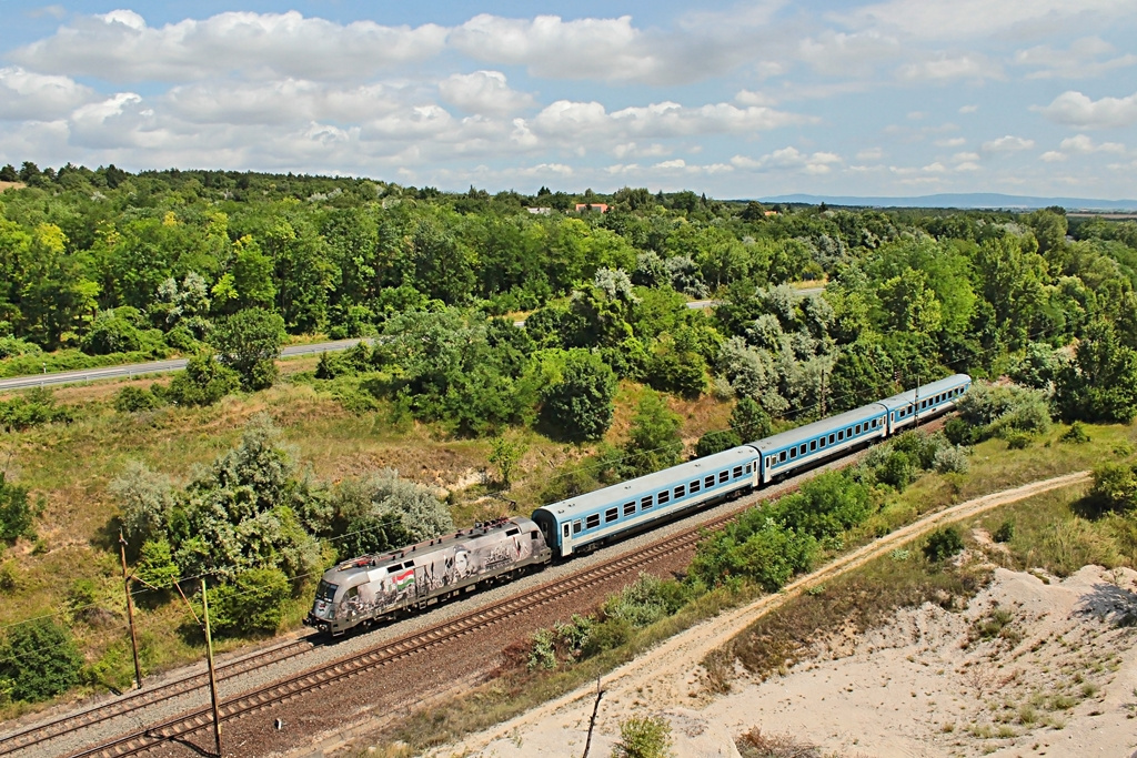 470 001 Szár (2017.07.11)01