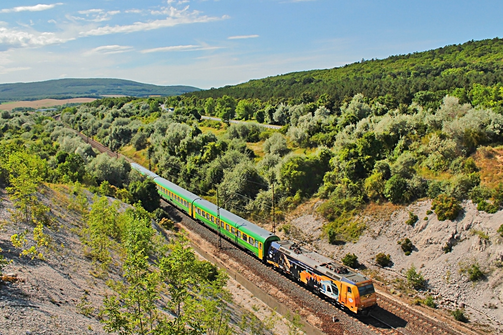 480 004 Szár (2017.07.11)03