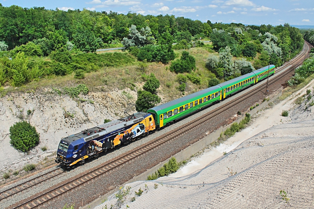 480 004 Szár (2017.07.11)02