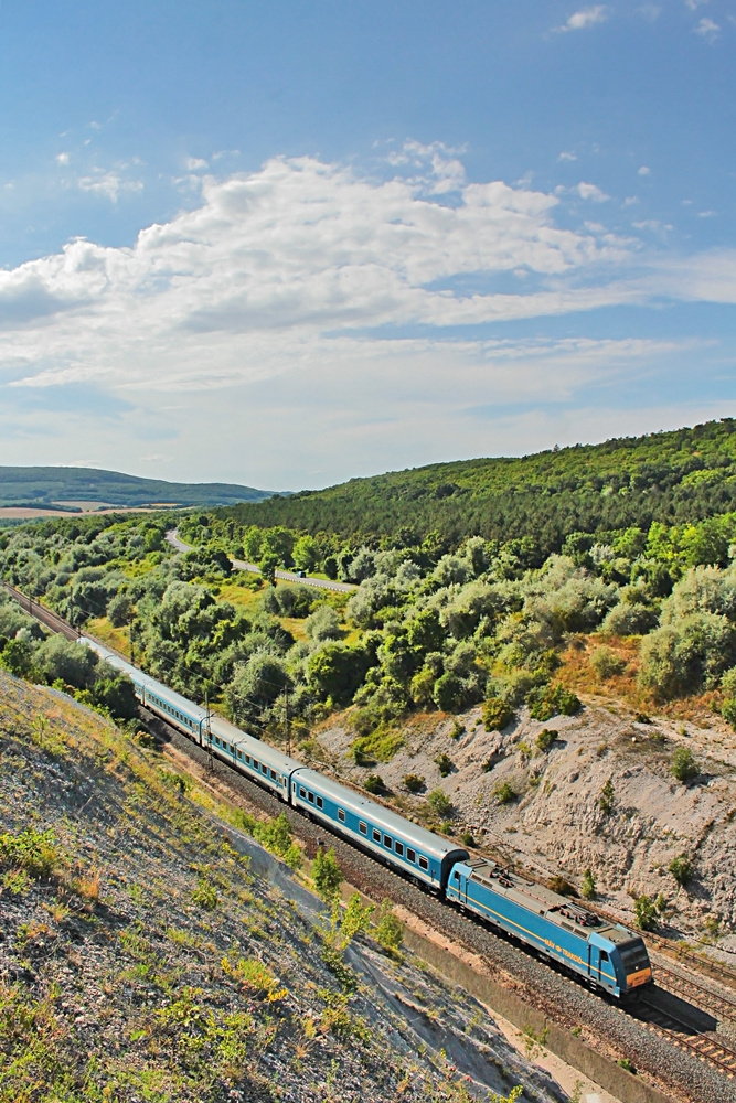 480 017 Szár (2017.07.11)