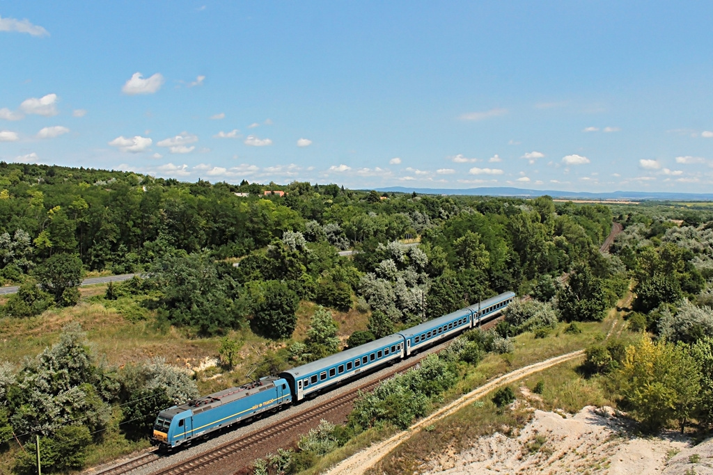 480 019 Szár (2017.07.11)