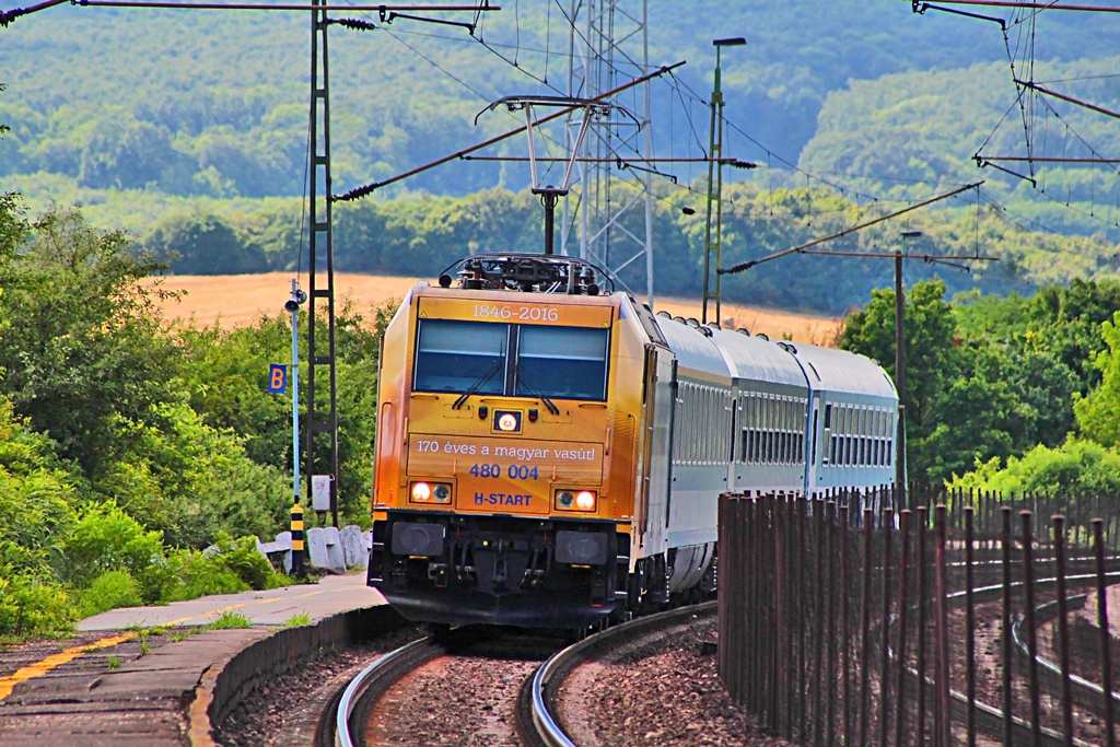 480 004 Szár(2017.07.12)