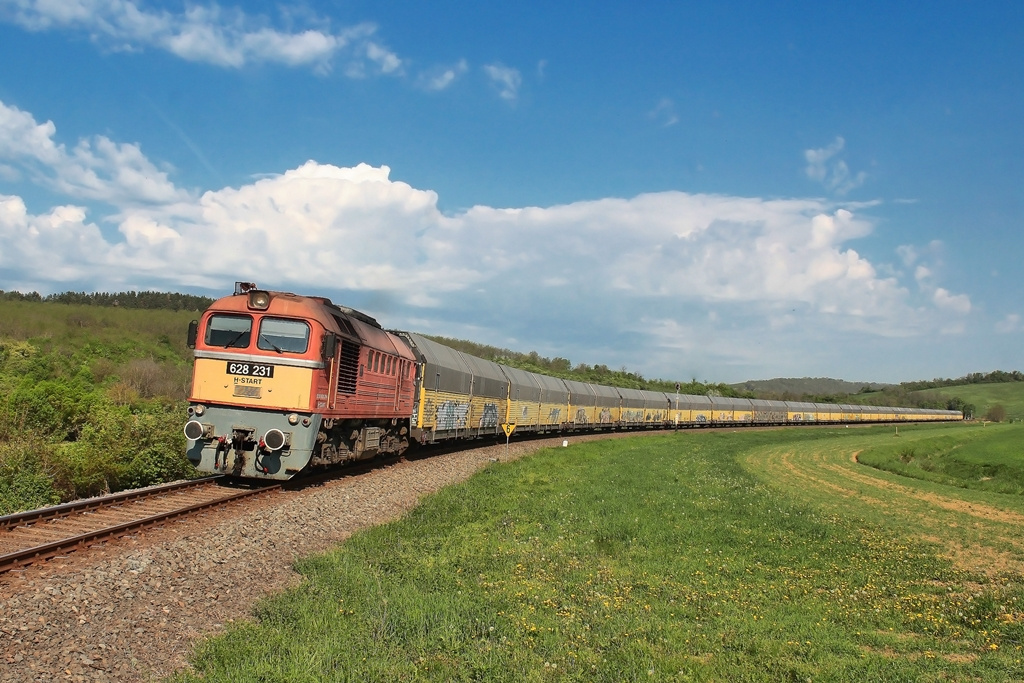 628 231 Mórágy-Alsónána (2018.04.23).