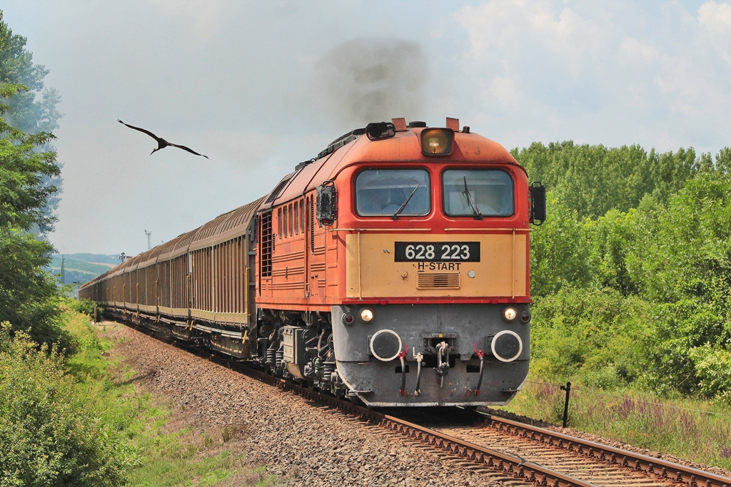 628 223 Alsónyék (2018.06.11).