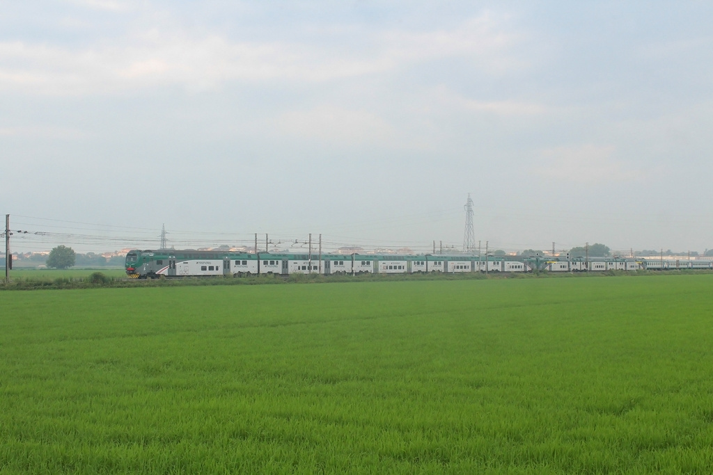 TRENORD 426 xxx Novara (2018.07.11).