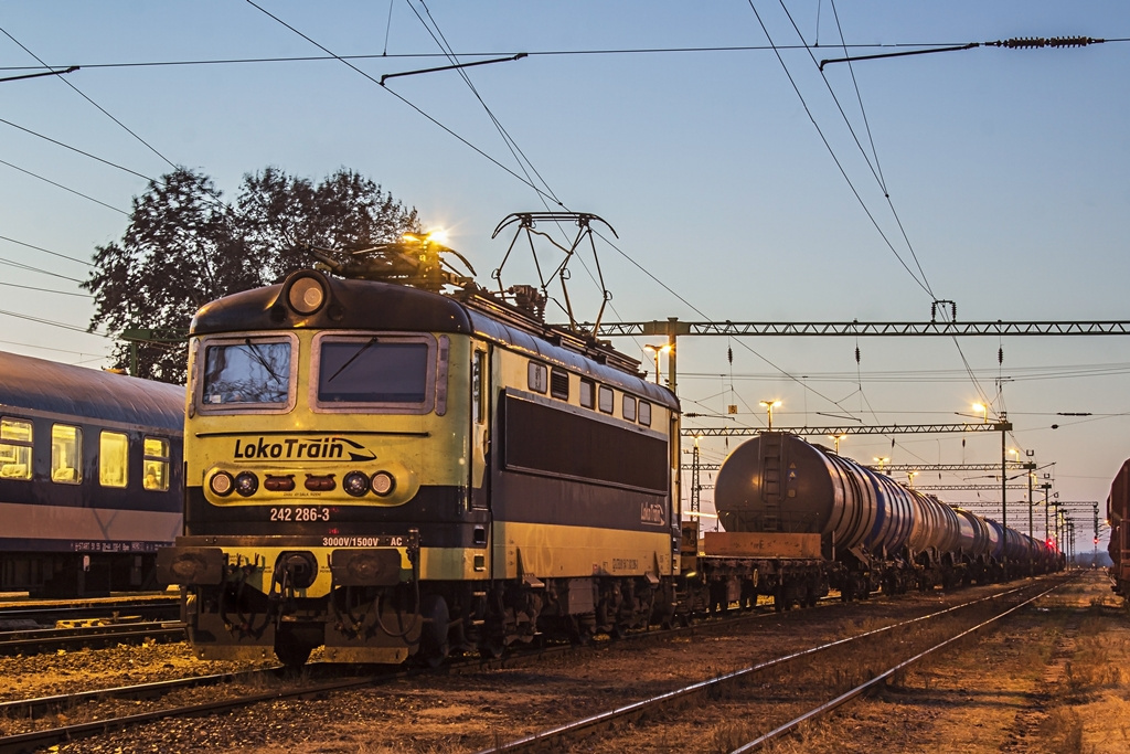 242 286 Sárbogárd (2018.12.29)