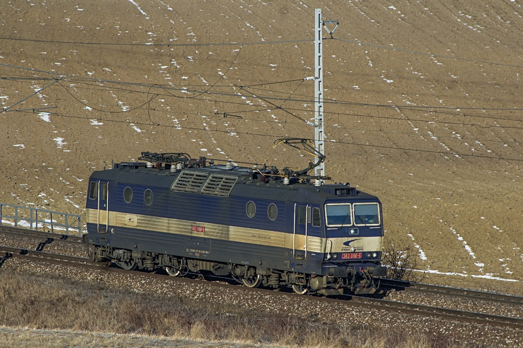 363 098 Vydrník (2019.01.22).